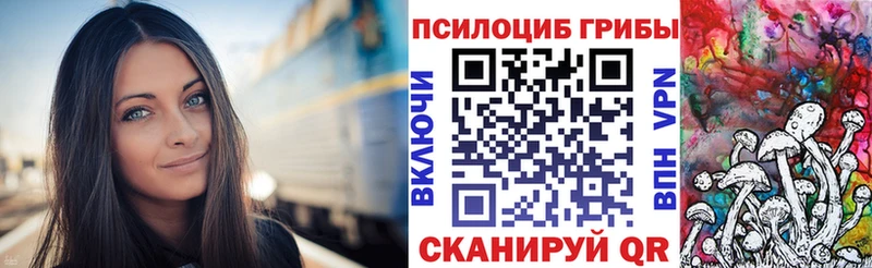 Галлюциногенные грибы ЛСД  где купить   блэк спрут вход  Сковородино 
